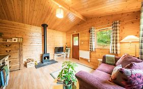 Cabin In The Den